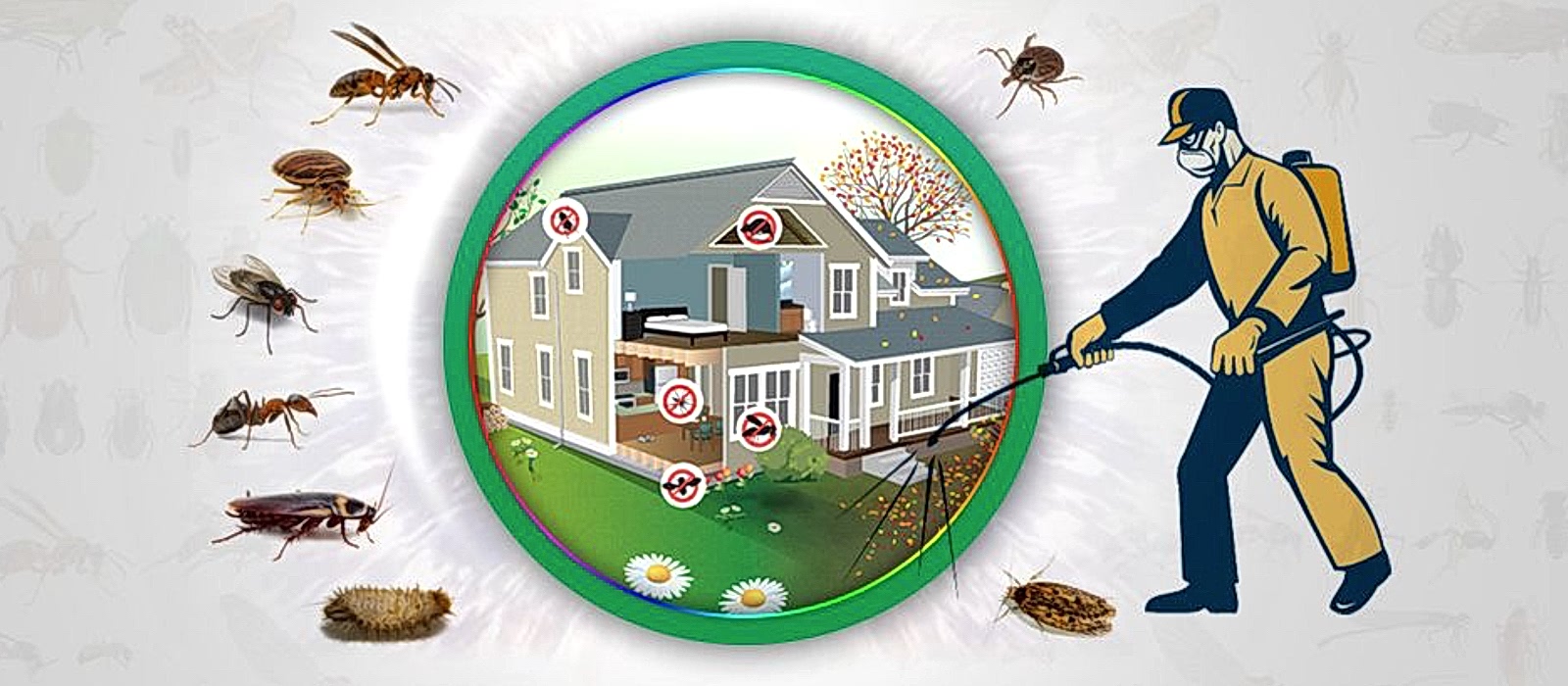 Pest Control Service