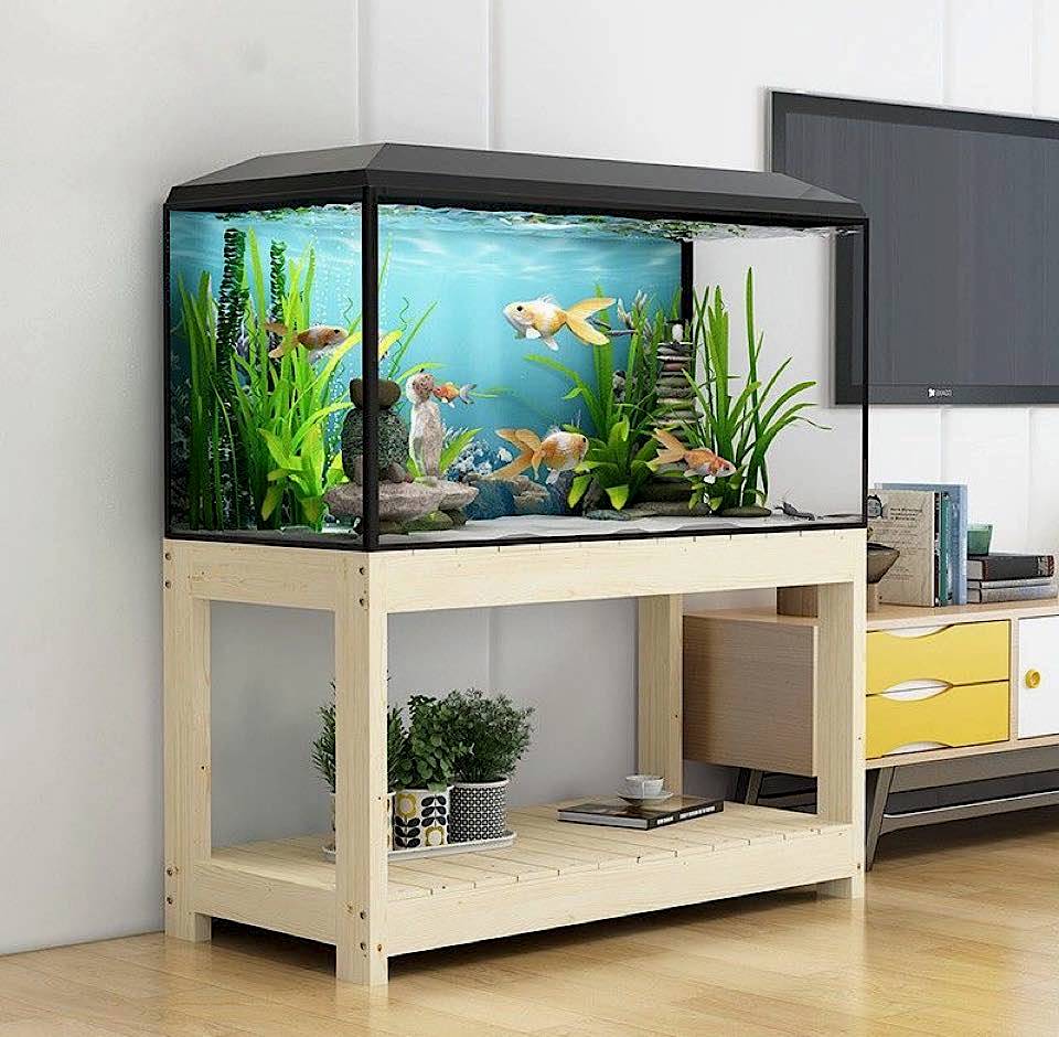 Complete Guide to Aquarium Cleaning Services for Healthy Fish Tanks