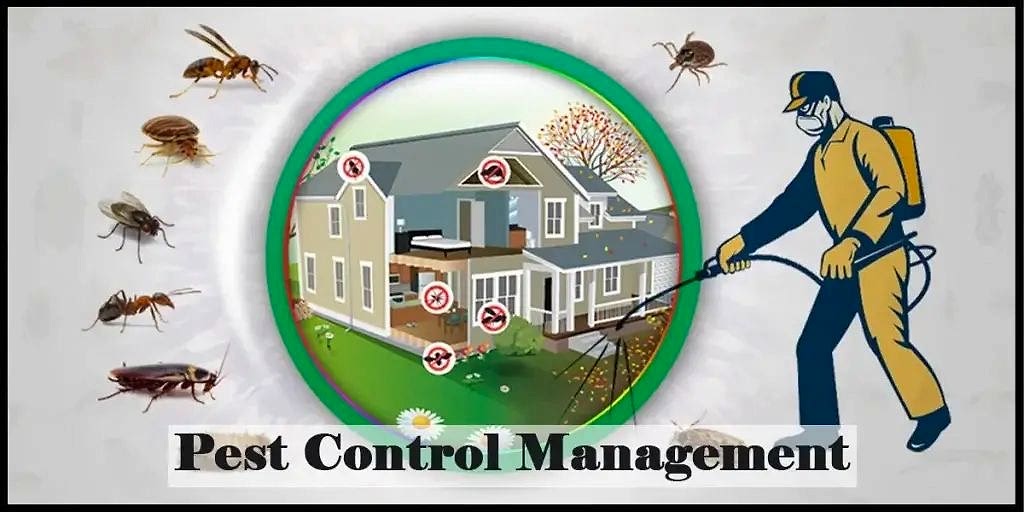 pest control service